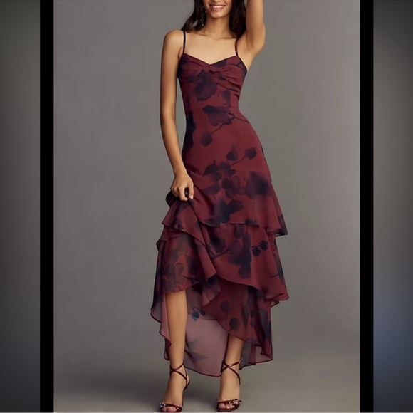 Hutch Dresses & Skirts - Hutch Floral Tiered Dress size 10